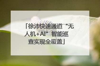 徐沛快速通道“无人机+AI”智能巡查实现全覆盖