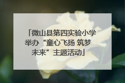 微山县第四实验小学举办“童心飞扬 筑梦未来”主题活动
