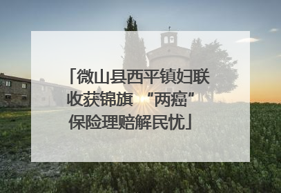 微山县西平镇妇联收获锦旗 “两癌”保险理赔解民忧