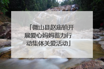 微山县赵庙镇开展爱心妈妈蓄力行动集体关爱活动