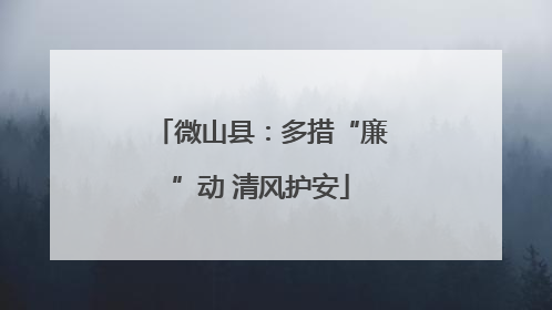 微山县：多措“廉”动 清风护安