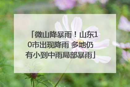 微山降暴雨！山东10市出现降雨 多地仍有小到中雨局部暴雨