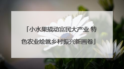 小水果撬动富民大产业 特色农业绘就乡村振兴新画卷