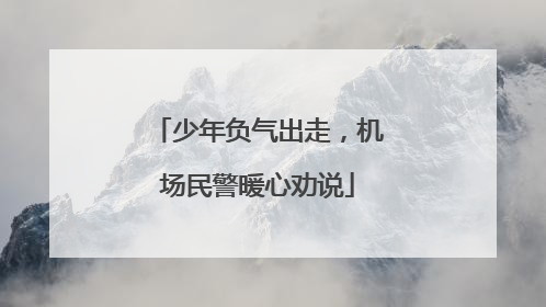 少年负气出走，机场民警暖心劝说