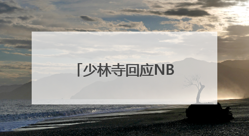 少林寺回应NBA球星文班亚马“剃发闭关”：人确实在寺里