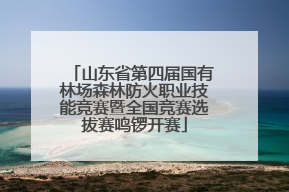 山东省第四届国有林场森林防火职业技能竞赛暨全国竞赛选拔赛鸣锣开赛