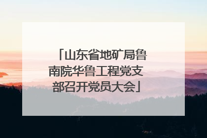 山东省地矿局鲁南院华鲁工程党支部召开党员大会