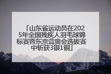 山东省运动员在2025年全国残疾人羽毛球锦标赛暨东京聋奥会选拔赛中斩获3银1铜