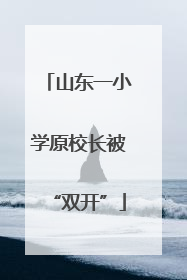 山东一小学原校长被“双开”