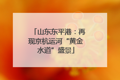 山东东平港：再现京杭运河“黄金水道”盛景