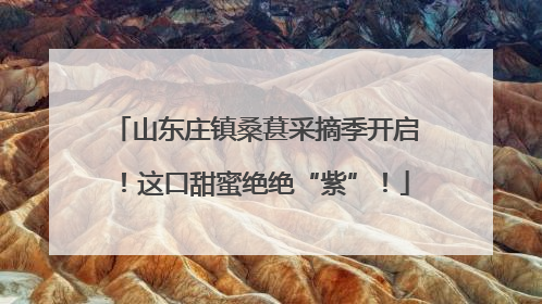 山东庄镇桑葚采摘季开启！这口甜蜜绝绝“紫”！