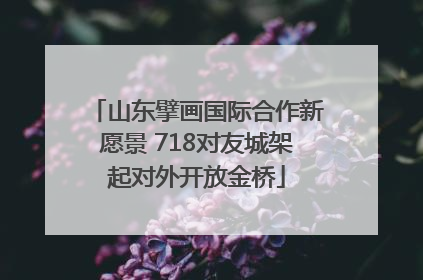 山东擘画国际合作新愿景 718对友城架起对外开放金桥
