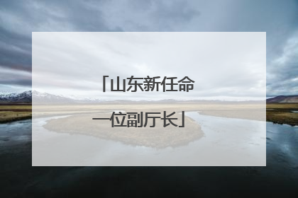 山东新任命一位副厅长