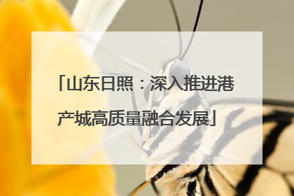 山东日照：深入推进港产城高质量融合发展