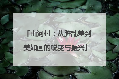 山河村：从脏乱差到美如画的蜕变与振兴