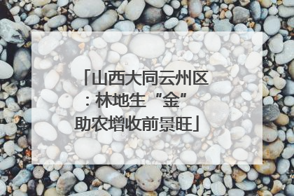 山西大同云州区：林地生“金” 助农增收前景旺