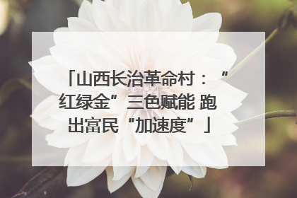山西长治革命村：“红绿金”三色赋能 跑出富民“加速度”