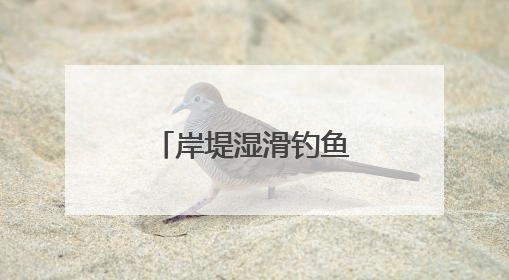 岸堤湿滑钓鱼者落水，曾救过人的他出手了