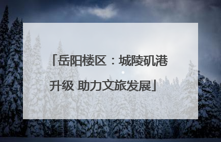 岳阳楼区：城陵矶港升级 助力文旅发展