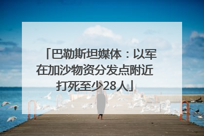 巴勒斯坦媒体：以军在加沙物资分发点附近打死至少28人
