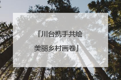 川台携手共绘美丽乡村画卷