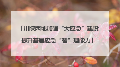 川陕两地加强“大应急”建设 提升基层应急“智”理能力