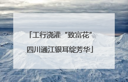 工行浇灌“致富花” 四川通江银耳绽芳华