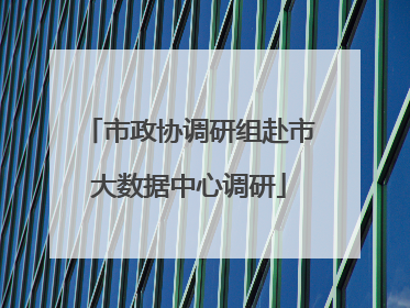 市政协调研组赴市大数据中心调研