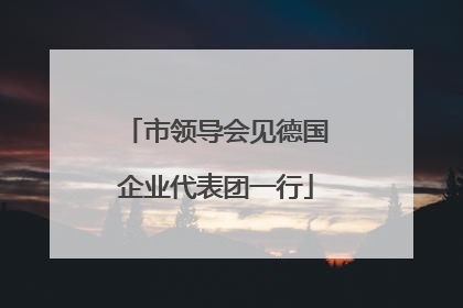 市领导会见德国企业代表团一行