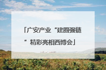 广安产业“建圈强链”精彩亮相西博会