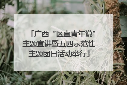 广西“区直青年说”主题宣讲暨五四示范性主题团日活动举行