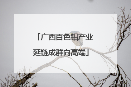 广西百色铝产业延链成群向高端