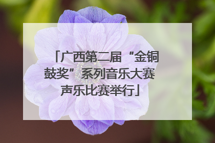 广西第二届“金铜鼓奖”系列音乐大赛声乐比赛举行