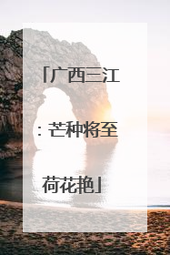 广西三江：芒种将至荷花艳