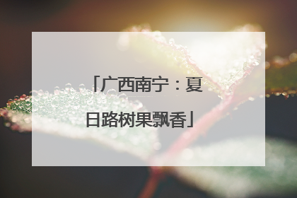 广西南宁：夏日路树果飘香