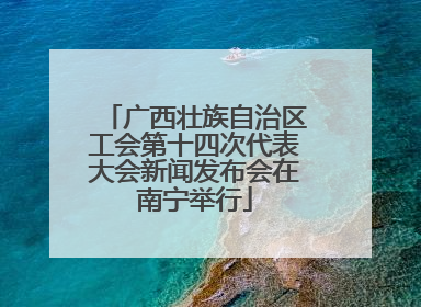 广西壮族自治区工会第十四次代表大会新闻发布会在南宁举行