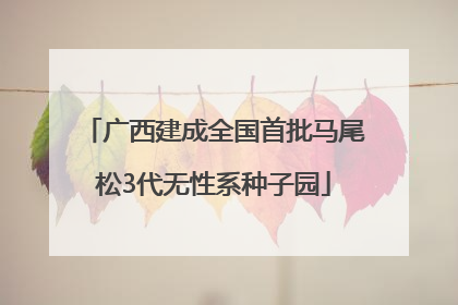 广西建成全国首批马尾松3代无性系种子园