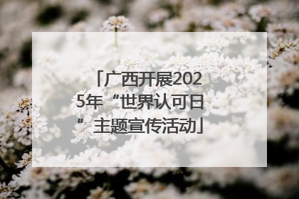 广西开展2025年“世界认可日”主题宣传活动