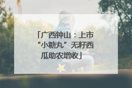 广西钟山：上市“小糖丸”无籽西瓜助农增收
