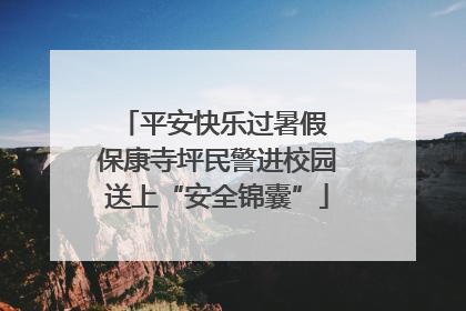 平安快乐过暑假 保康寺坪民警进校园送上“安全锦囊”