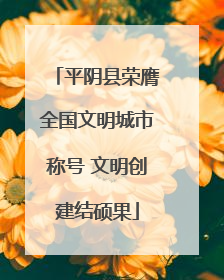 平阴县荣膺全国文明城市称号 文明创建结硕果