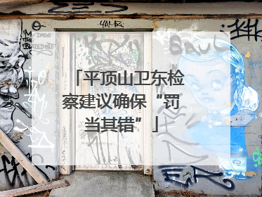 平顶山卫东检察建议确保“罚当其错”