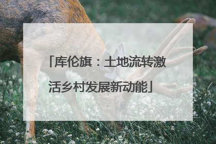 库伦旗：土地流转激活乡村发展新动能