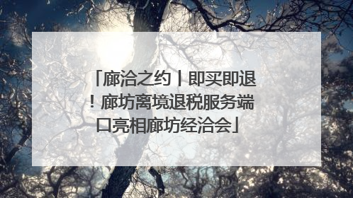 廊洽之约丨即买即退！廊坊离境退税服务端口亮相廊坊经洽会