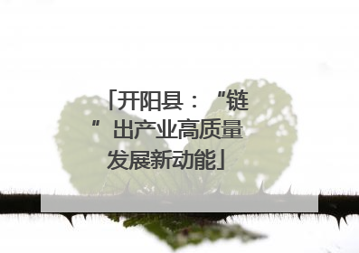 开阳县：“链”出产业高质量发展新动能