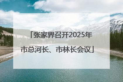 张家界召开2025年市总河长、市林长会议