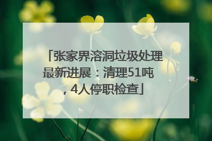 张家界溶洞垃圾处理最新进展：清理51吨，4人停职检查