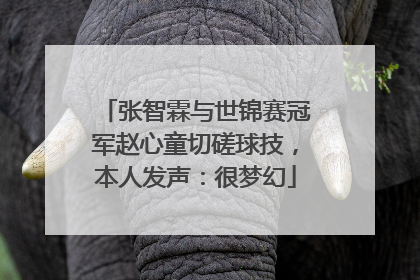 张智霖与世锦赛冠军赵心童切磋球技，本人发声：很梦幻