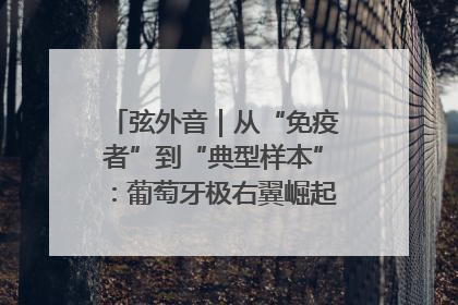 弦外音｜从“免疫者”到“典型样本”：葡萄牙极右翼崛起背后的欧洲困局
