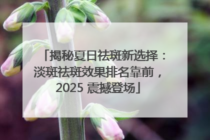 揭秘夏日祛斑新选择：淡斑祛斑效果排名靠前，2025 震撼登场